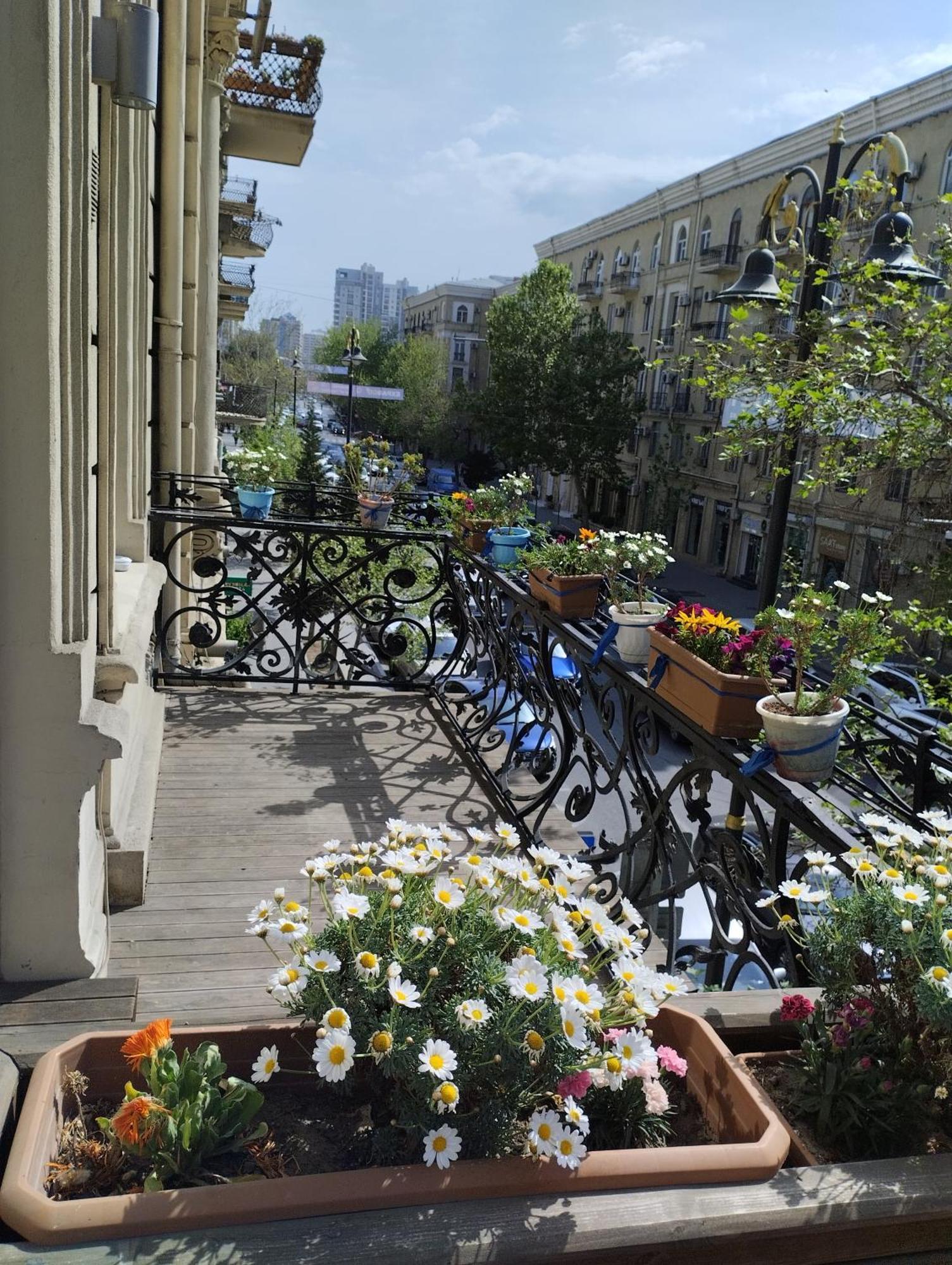 Callisto Hotel Baku Eksteriør billede